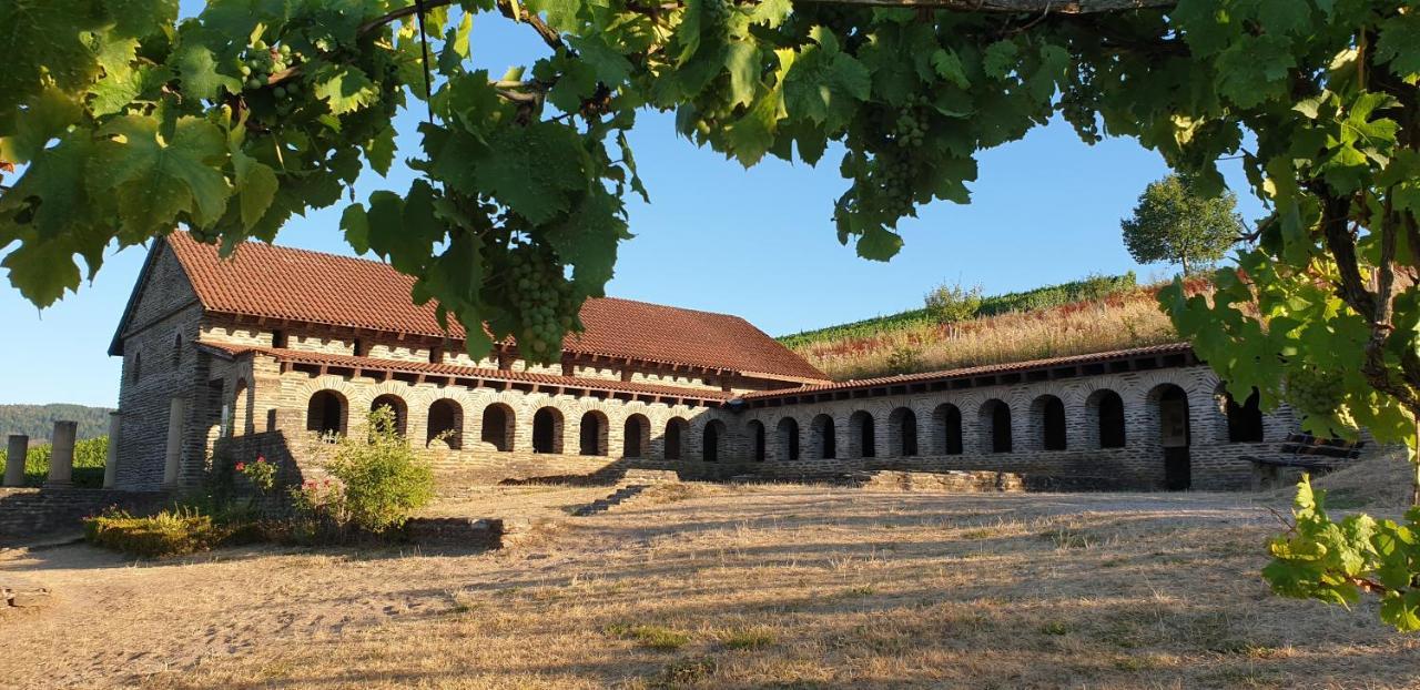 Art Of Living Mosel Apartamento Longuich Exterior foto